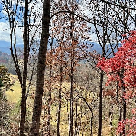 Misty Mountain Cottage Waynesville Esterno foto