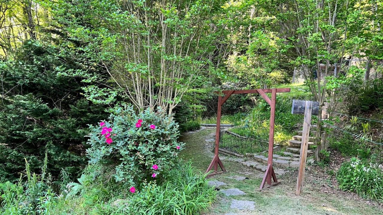 Misty Mountain Cottage Waynesville Esterno foto